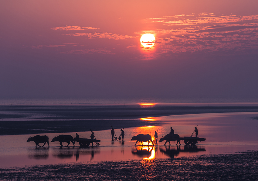 《江海春秋》2018第一期 封四    《黄金海岸》        摄影 吕智华.jpg